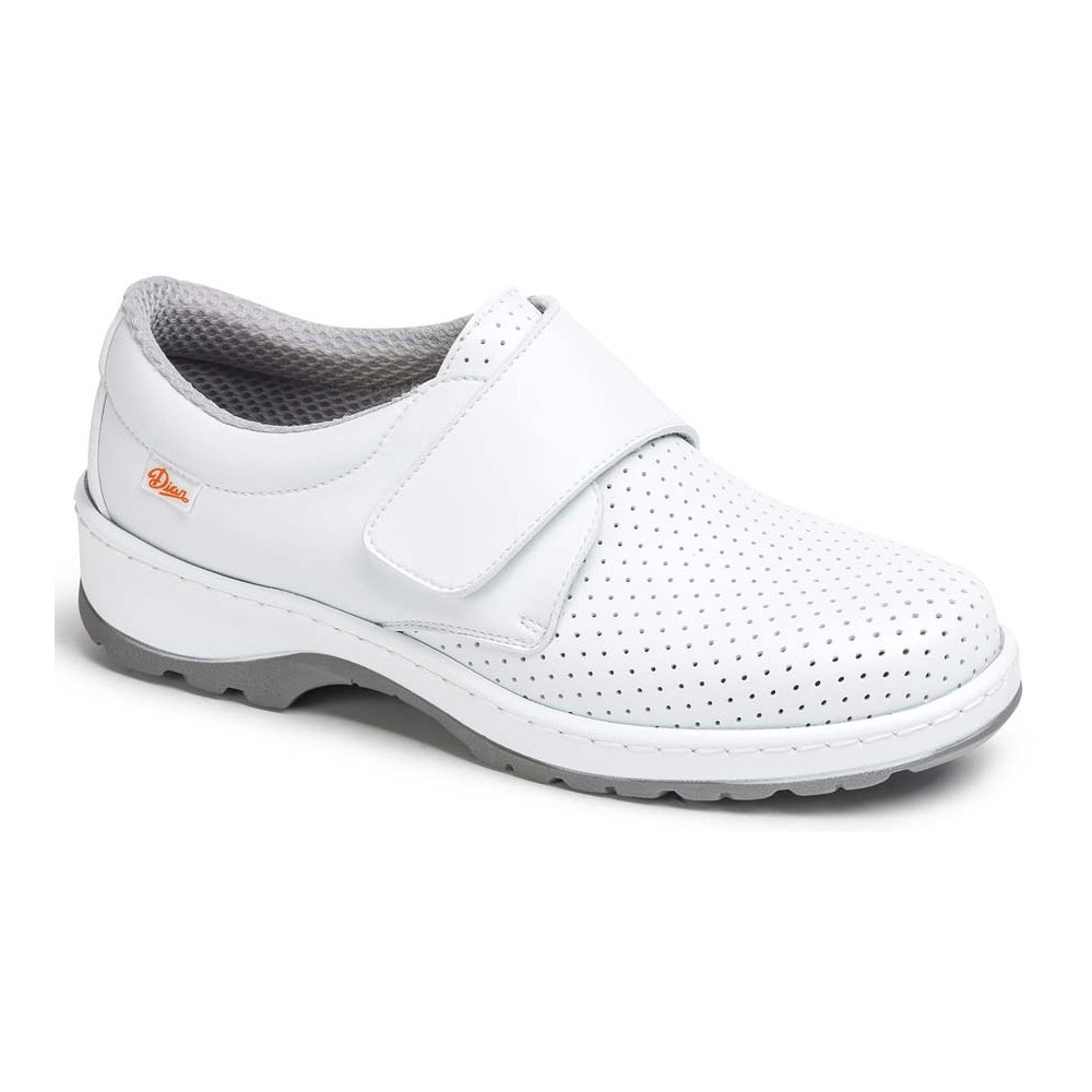 Zapato Milan-scl perforado Dian