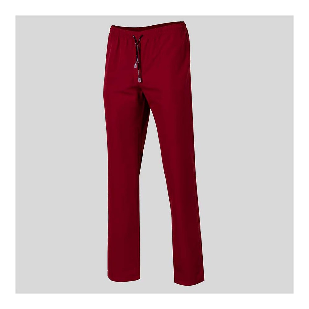 Pantalón sanitario antibacterias Garys 700600 Burdeos
