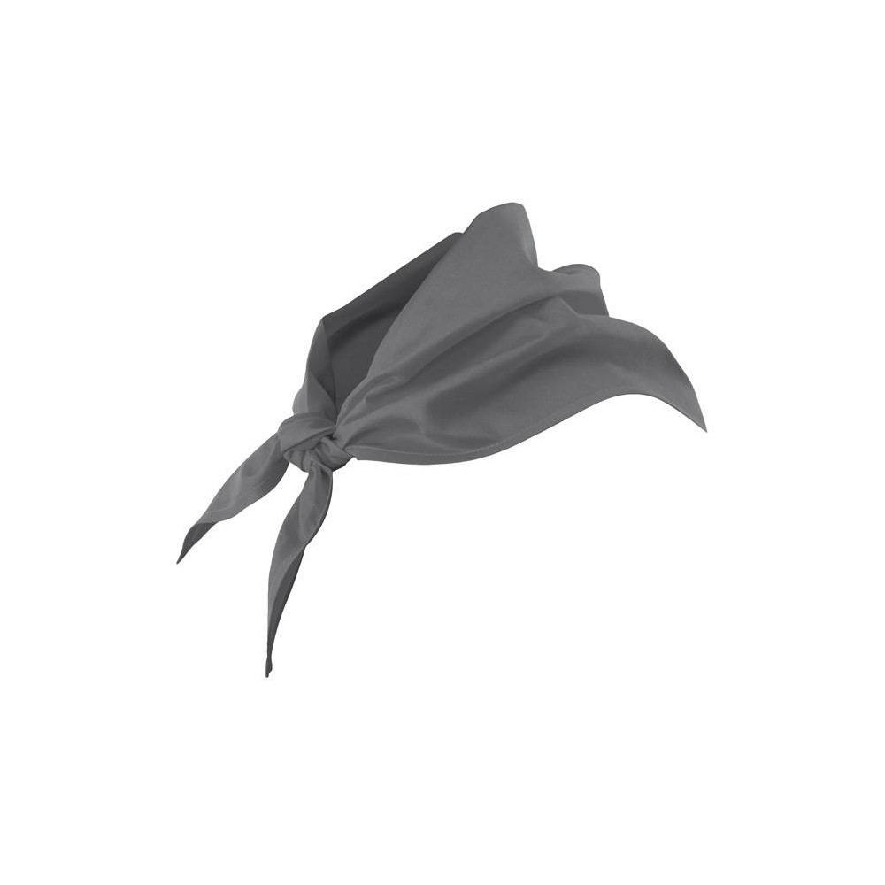 Pañuelo de cocina Gris Velilla 404003
