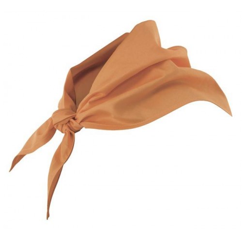 Pañuelo de cocina Beige Velilla 404003