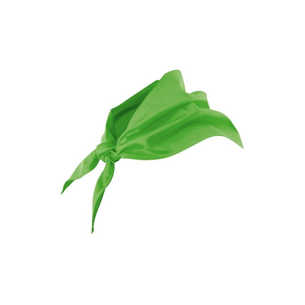 Pañuelo de cocina Verde Lima Velilla 404003