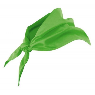 Pañuelo de cocina Verde Lima Velilla 404003