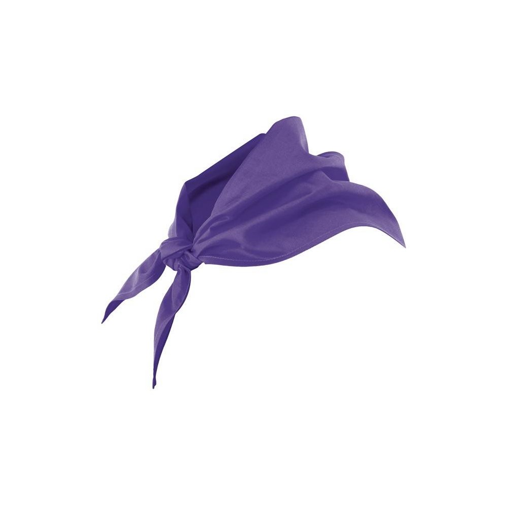 Pañuelo de cocina Morado Velilla 404003